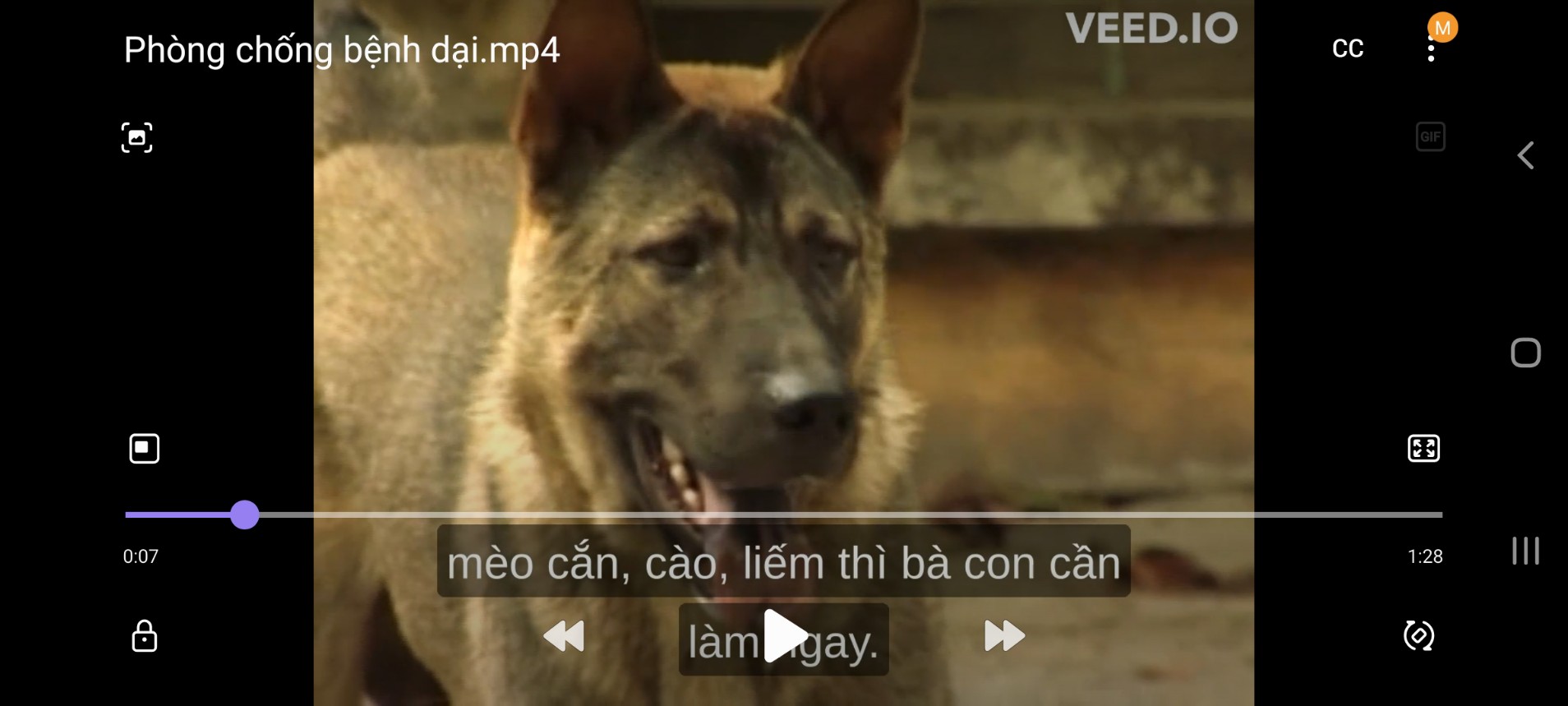 VIDEO Phòng chống bệnh dại