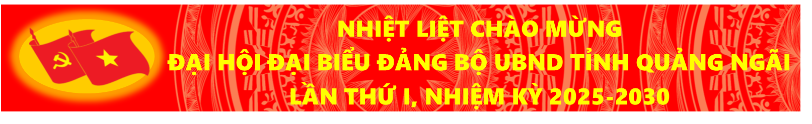 choà mừng đại hội đảng